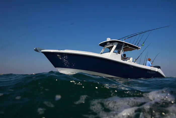 Image for Angler Courtesy