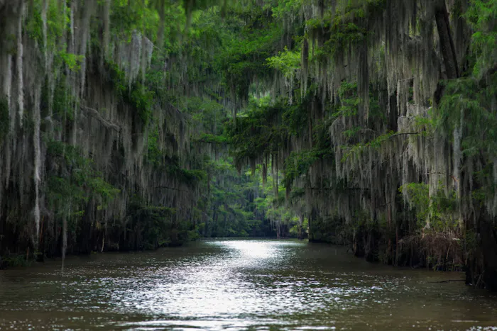 Image forA Guide to Boating in Louisiana