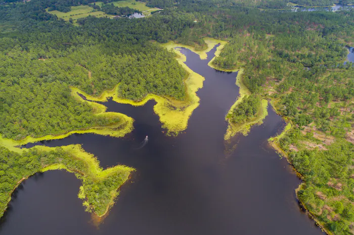 Image forA Boater’s Guide to Navigating the Waters of Alabama