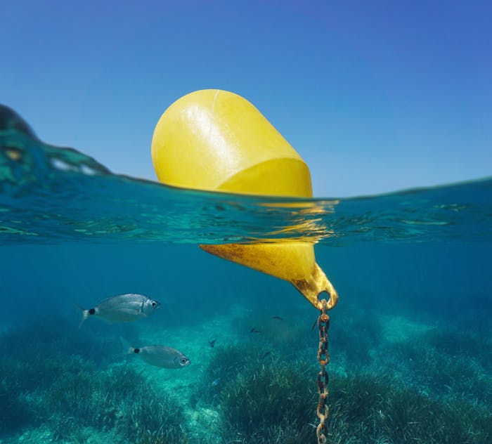 Image forSLOW / NO WAKE ZONE: What Do Different Buoy Colors and Shapes Mean?