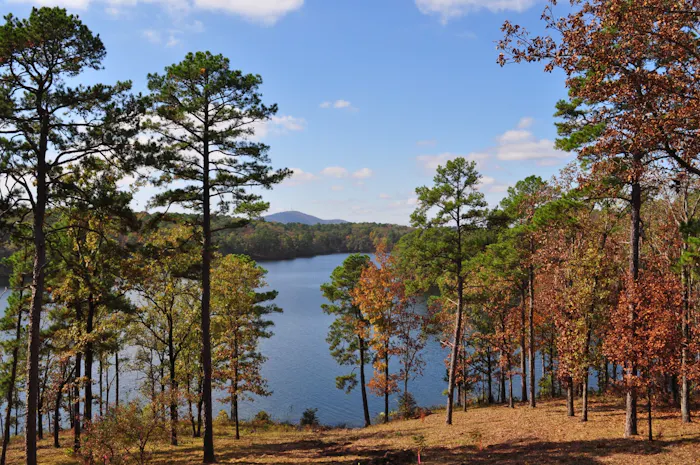 Image forThe Ultimate Guide to Boating in Arkansas: Top Locations, Laws, and Safety Tips