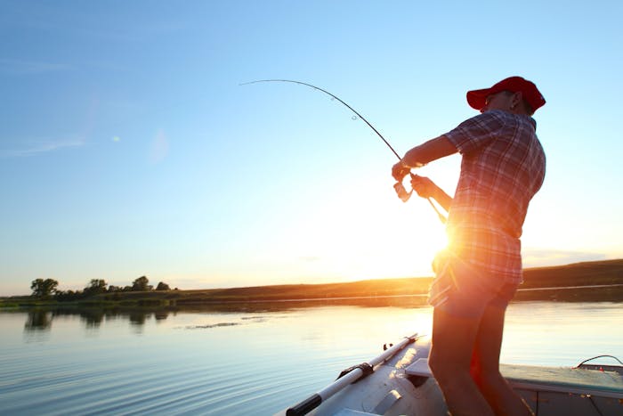 Image forFun Fishing Facts: From Ancient Hooks to Record-Breaking Catches